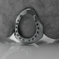 Horseshoe