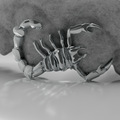 Scorpion Large